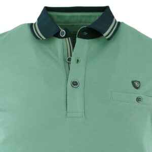 Polo manches courtes uni vert sauge MONTE CARLO