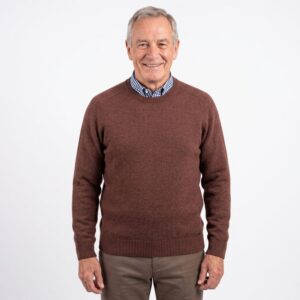 pull homme laine BEST GUEST ras du cou chocolat 701bg
