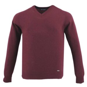 pull BEST GUEST col V 80% laine prune 702bg